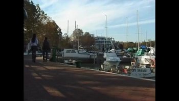 Фильм о трансах порно