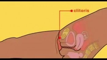 Как хороший половой орган прибивается в ее очко