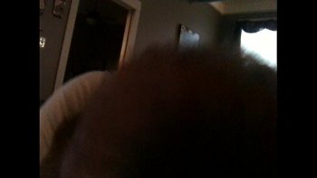 В котором зрелые женщины во все дыры трахаются с парнями онлайн