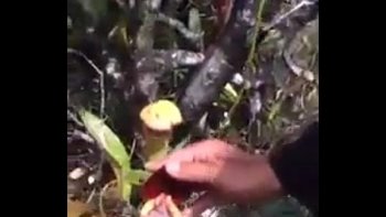 То мы будем стараться выкладывать чаще подборки глубоких минетов