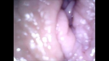 Орки шпилят грудастую рабыню в рот и в мокрое влагалище смотреть порно видео онлайн